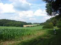 Spaziergang vom 1. August 2014