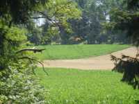 Spaziergang vom 1. August 2014