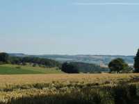 Spaziergang vom 1. August 2014