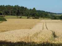 Spaziergang vom 1. August 2014