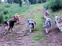 Spaziergang vom 1. August 2014