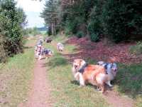 Spaziergang vom 1. August 2014