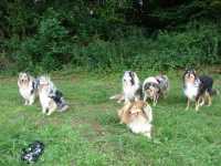 Spaziergang vom 1. August 2014