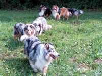 Spaziergang vom 1. August 2014