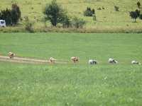 Spaziergang vom 1. August 2014